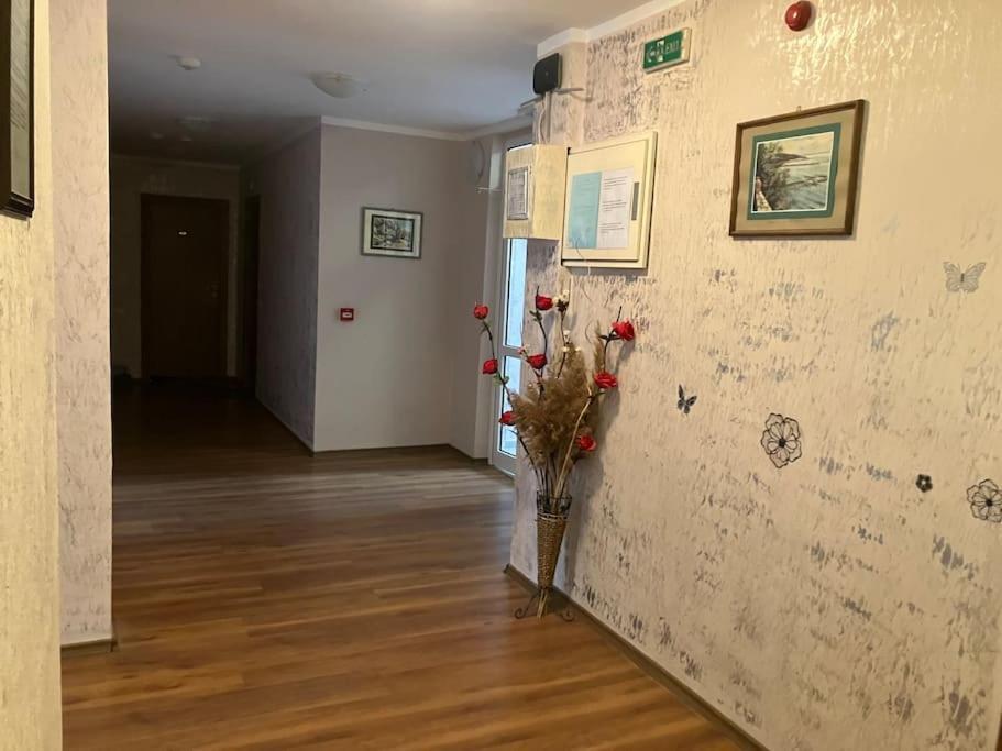 Joy Apartment サニービーチ エクステリア 写真